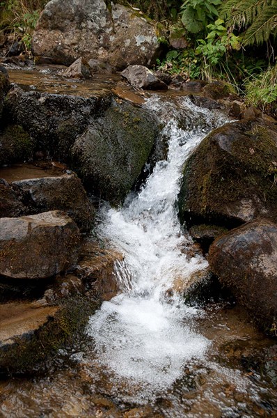 Живая вода